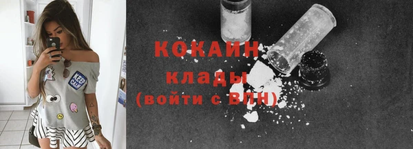 ПСИЛОЦИБИНОВЫЕ ГРИБЫ Алзамай