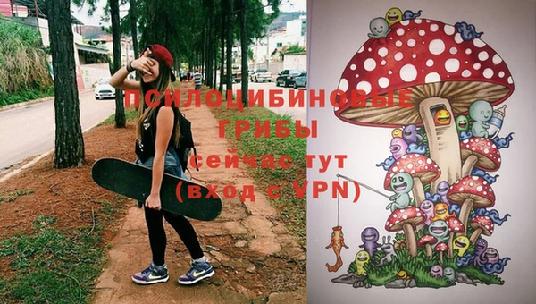 ПСИЛОЦИБИНОВЫЕ ГРИБЫ Алзамай