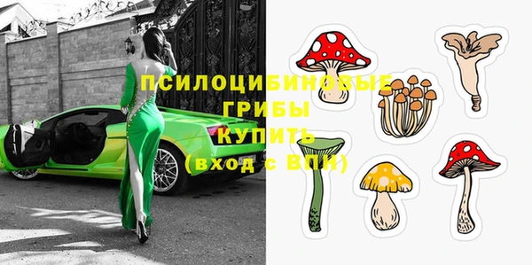 ПСИЛОЦИБИНОВЫЕ ГРИБЫ Алзамай