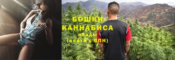 ПСИЛОЦИБИНОВЫЕ ГРИБЫ Алзамай