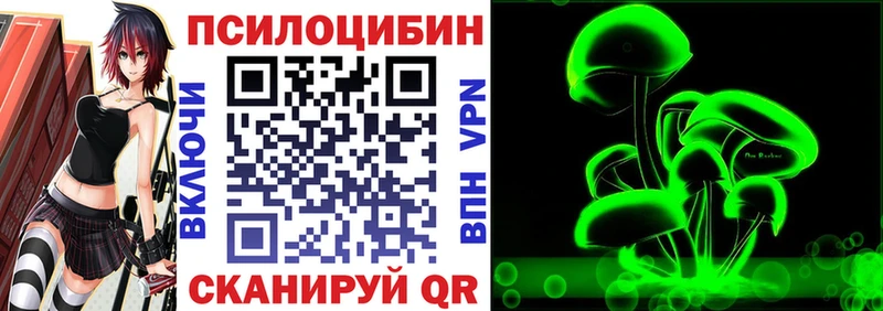 Галлюциногенные грибы Psilocybine cubensis  Шадринск 